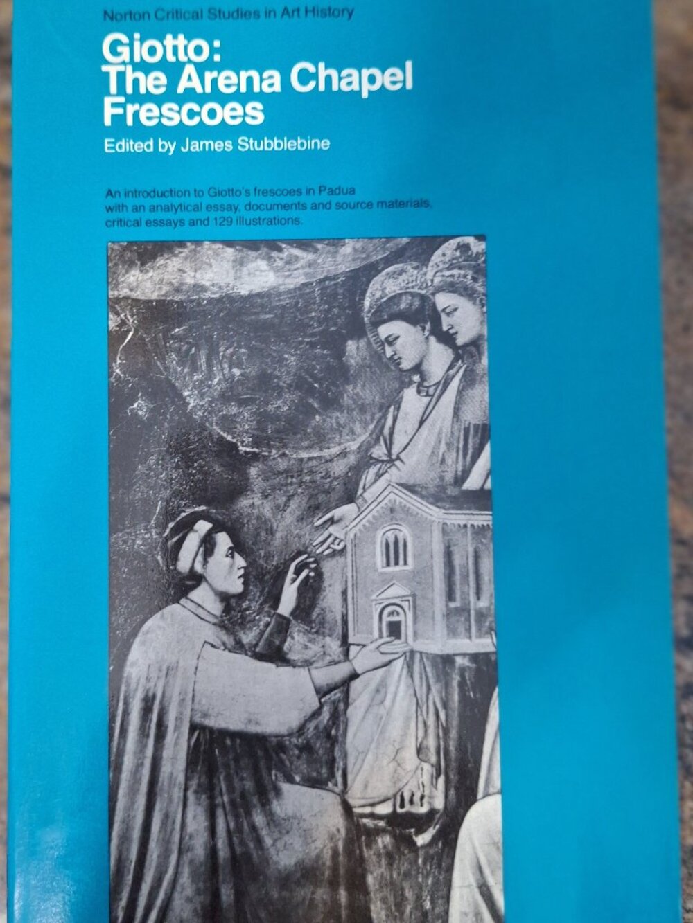 Giotto: The Arena Chapel Frescoes : Edited by James Stubblebine